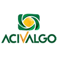 Original logo acivalgo 2